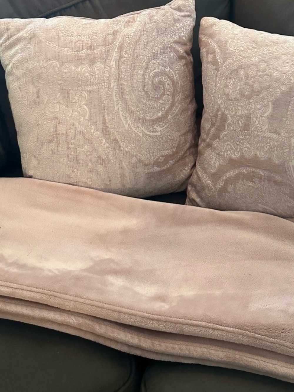 Paisley light pink Accent Pillows